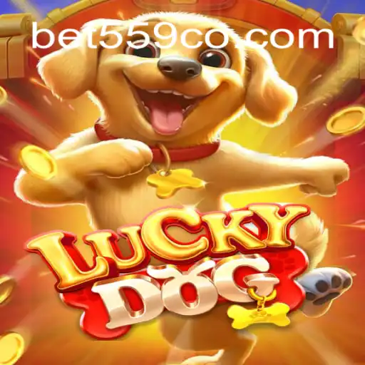 Dive into the World of LuckyDog - A Thrilling Betting Experience with Bet559